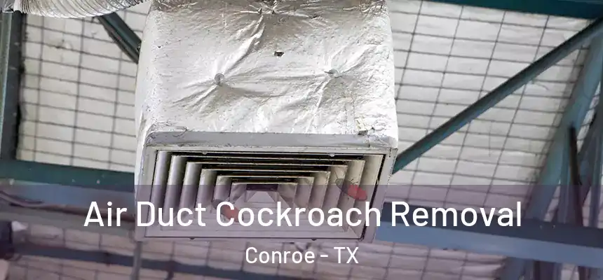  Air Duct Cockroach Removal Conroe - TX