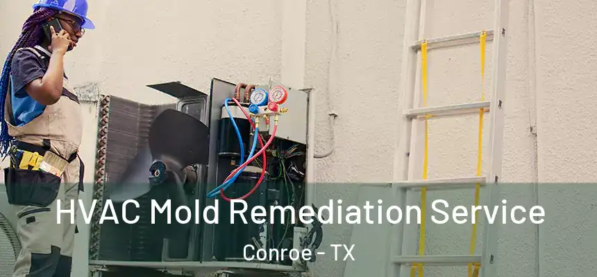  HVAC Mold Remediation Service Conroe - TX