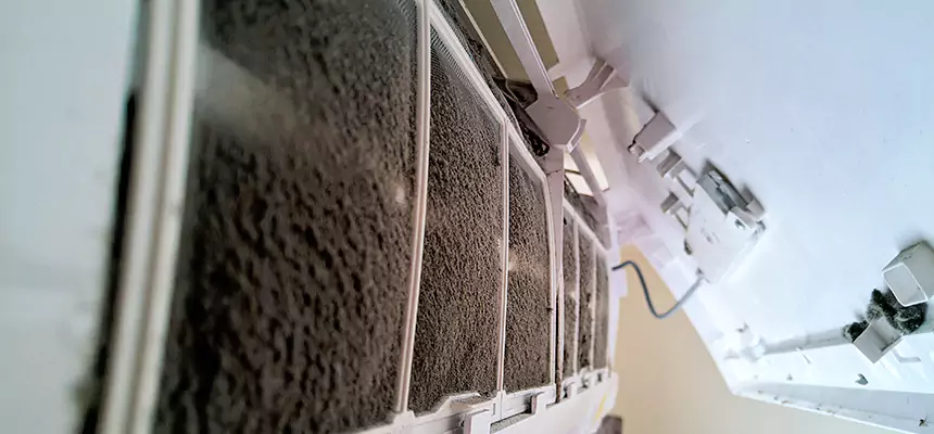 Preventive Air Duct Bacteria Removal in Conroe