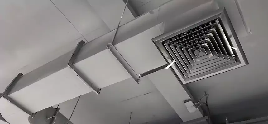 Restorative Allergy Relief Vent Cleaning – Coil, Blower & Housing Detail in Conroe