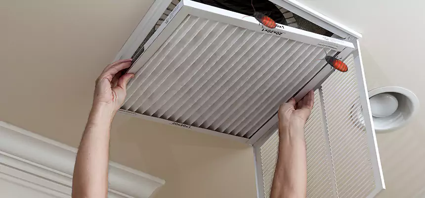 Our Insect Removal from Air Ducts Services in Conroe, TX
