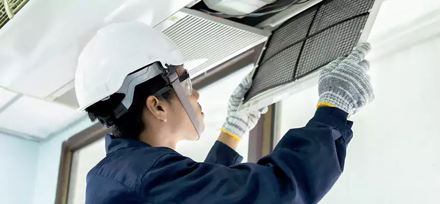 Our Mold & Mildew Removal from Air Ducts Services in Conroe, TX