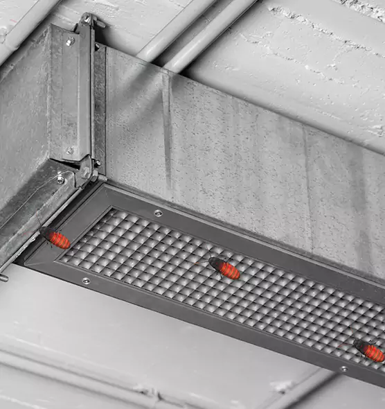 About Air Duct Cockroach Removal in Conroe, TX