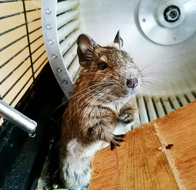 Why Homeowners & Businesses Trust Us Conroe, TX?