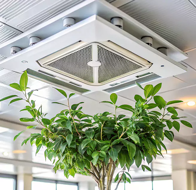 Why Homeowners & Businesses Trust Us in Conroe, TX